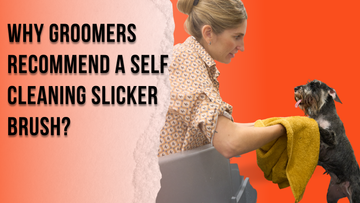 Why Groomers Recommend a Self Cleaning Slicker Brush?