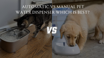 Automatic vs. Manual Pet Water Dispenser: Which Is Best?
