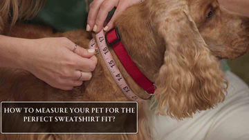 How to Measure Your Pet for the Perfect Sweatshirt Fit?