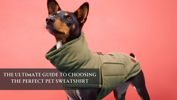The Ultimate Guide to Choosing the Perfect Pet Sweatshirt