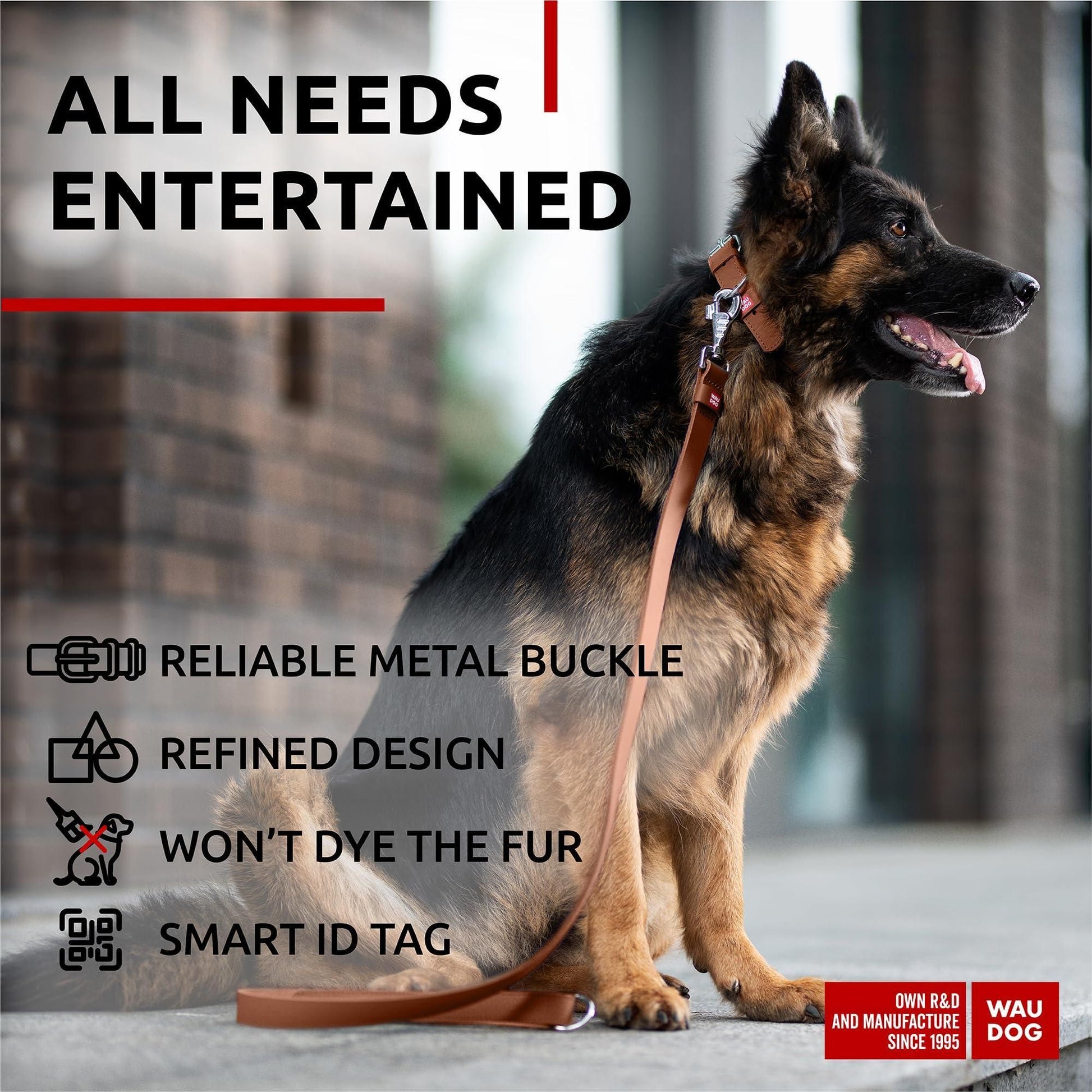 Dog on a leash with product features listed, including a reliable metal buckle