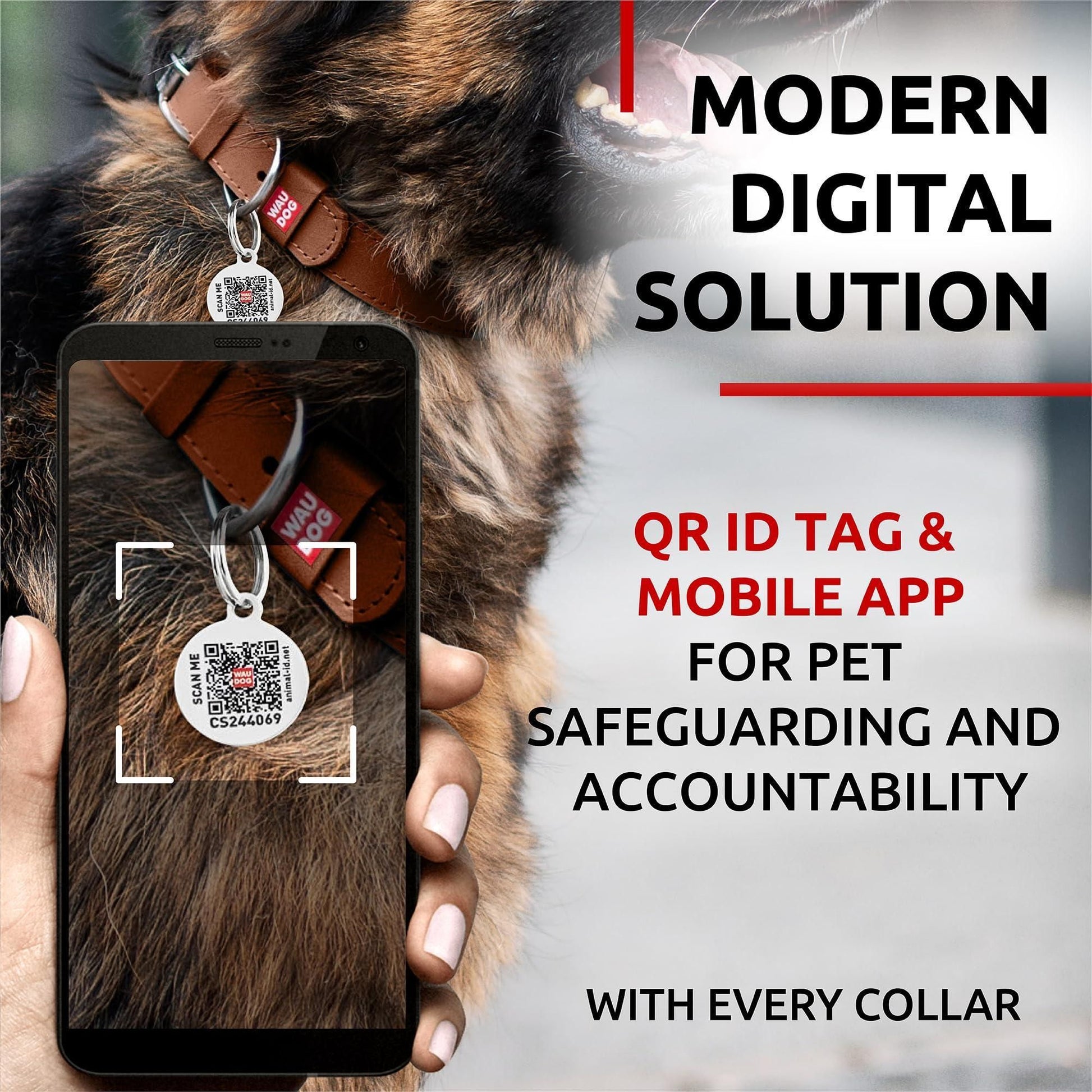Dog collar with QR code tag and mobile app for safeguarding and accountability