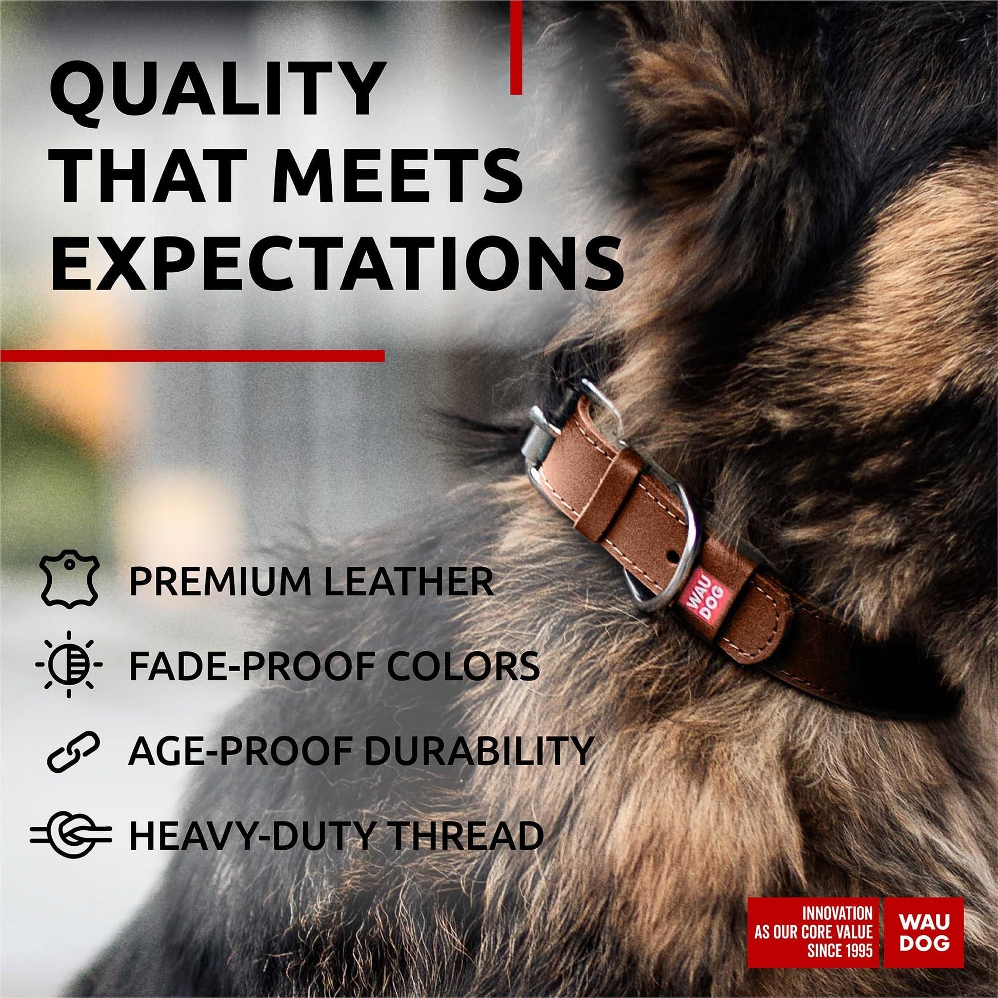 Dog collar with features listed 