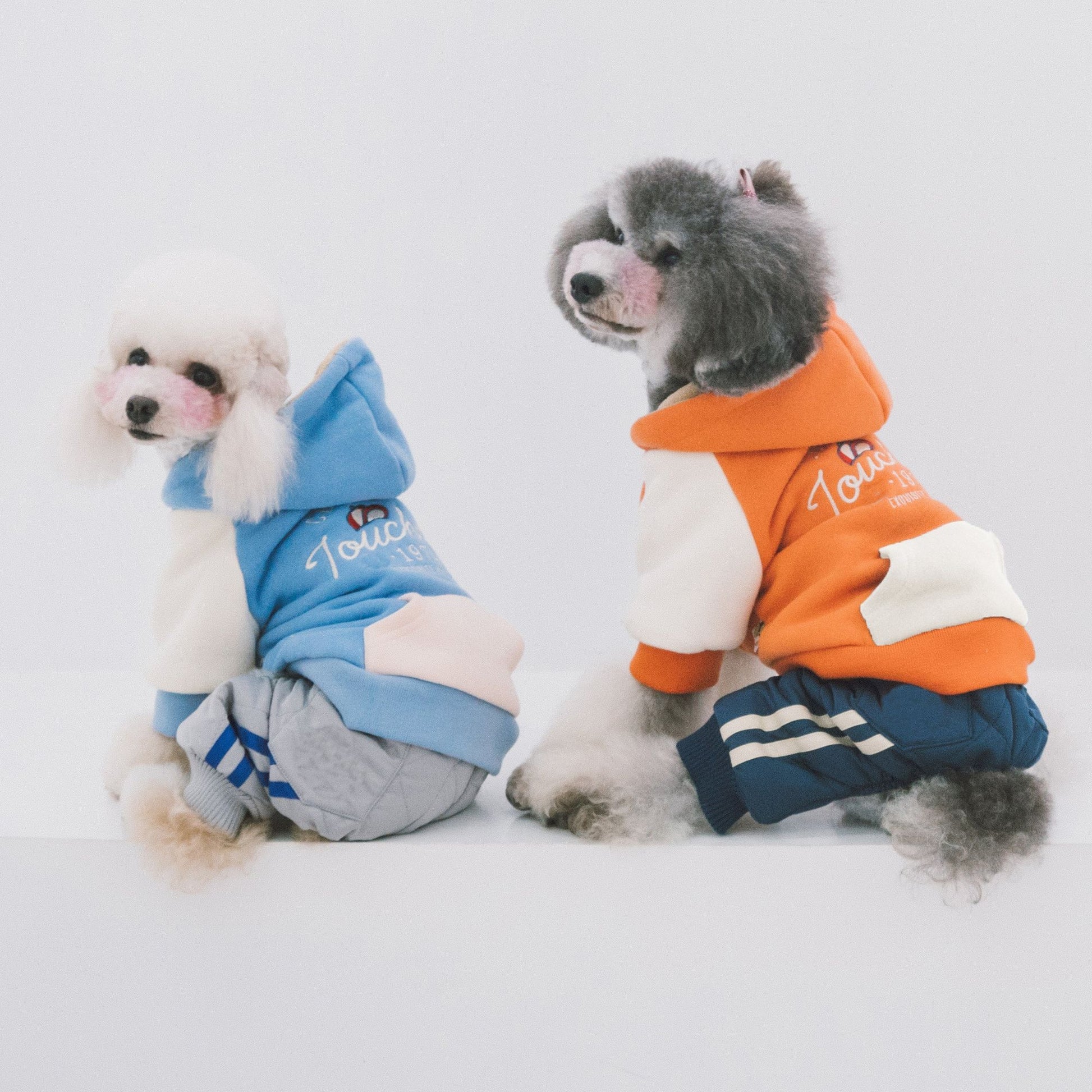 531404441